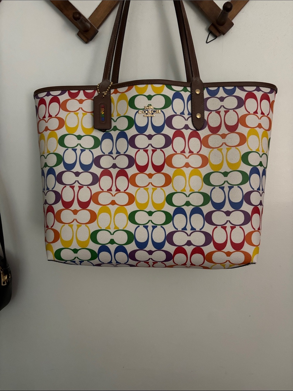 Coach Rainbow Signature Tote in Multicolor with Brown Trim